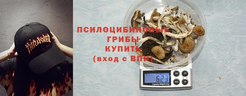 где купить   Оханск  Псилоцибиновые грибы Psilocybine cubensis 